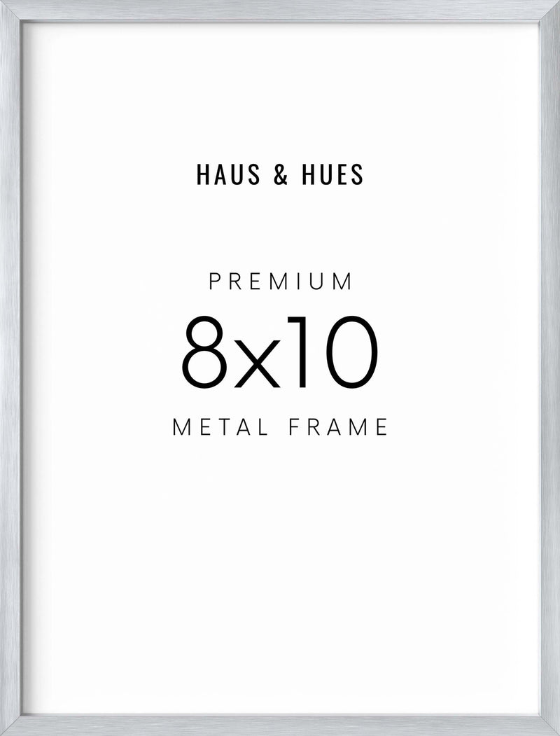 8x10, Silver Aluminum Plexi Frame