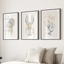 Ocean Animal Prints. Jellyfish, Lobster, Corals Wall Art by Wall Art Set