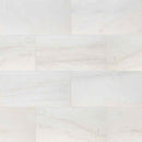 MSI Cosmic White Sandblast Marble Pavers