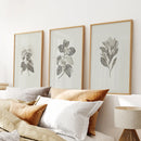 Antique Floral Prints 3 Piece Wall Art Decor by Wall Art Set