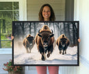 Cow Bighorn Wall Art Canvas Print – Longhorn Texas Large