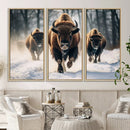 Cow Bighorn Wall Art Canvas Print – Longhorn Texas Large