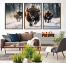 Cow Bighorn Wall Art Canvas Print – Longhorn Texas Large