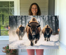 Cow Bighorn Wall Art Canvas Print – Longhorn Texas Large