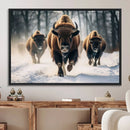Cow Bighorn Wall Art Canvas Print – Longhorn Texas Large