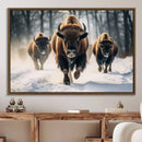 Cow Bighorn Wall Art Canvas Print – Longhorn Texas Large