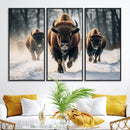 Cow Bighorn Wall Art Canvas Print – Longhorn Texas Large