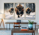 Cow Bighorn Wall Art Canvas Print – Longhorn Texas Large