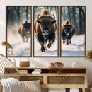 Cow Bighorn Wall Art Canvas Print – Longhorn Texas Large