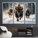 Cow Bighorn Wall Art Canvas Print – Longhorn Texas Large