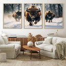 Cow Bighorn Wall Art Canvas Print – Longhorn Texas Large