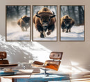 Cow Bighorn Wall Art Canvas Print – Longhorn Texas Large