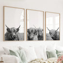 Black White Highland Cow Photo. 3 Piece Wall Art by Wall Art Set
