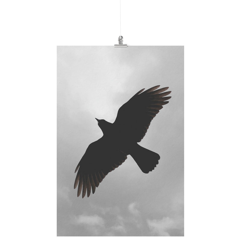 "Crow on a Cloudy Day" Matte Poster