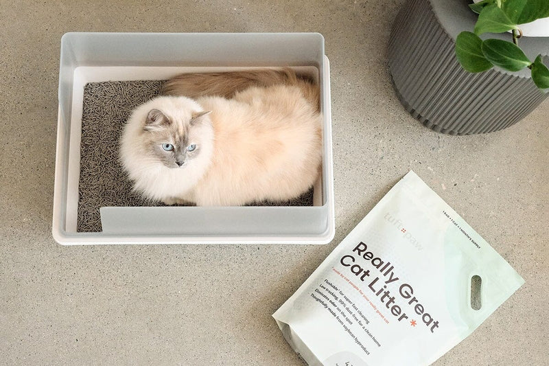 Cubby Litter Box