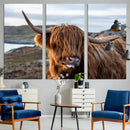 Cuddly Highland Cow Canvas Photo Wall Art Print Highlands