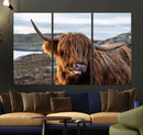 Cuddly Highland Cow Canvas Photo Wall Art Print Highlands