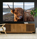 Cuddly Highland Cow Canvas Photo Wall Art Print Highlands
