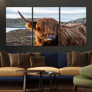 Cuddly Highland Cow Canvas Photo Wall Art Print Highlands