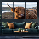 Cuddly Highland Cow Canvas Photo Wall Art Print Highlands