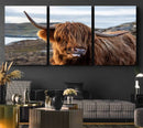 Cuddly Highland Cow Canvas Photo Wall Art Print Highlands