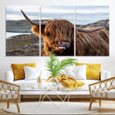 Cuddly Highland Cow Canvas Photo Wall Art Print Highlands