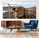 Cuddly Highland Cow Canvas Photo Wall Art Print Highlands