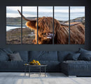 Cuddly Highland Cow Canvas Photo Wall Art Print Highlands