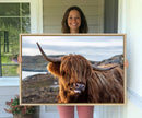 Cuddly Highland Cow Canvas Photo Wall Art Print Highlands