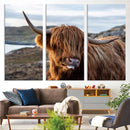 Cuddly Highland Cow Canvas Photo Wall Art Print Highlands