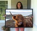 Cuddly Highland Cow Canvas Photo Wall Art Print Highlands