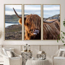 Cuddly Highland Cow Canvas Photo Wall Art Print Highlands