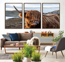 Cuddly Highland Cow Canvas Photo Wall Art Print Highlands