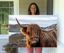 Cuddly Highland Cow Canvas Photo Wall Art Print Highlands