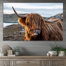 Cuddly Highland Cow Canvas Photo Wall Art Print Highlands