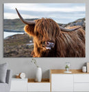 Cuddly Highland Cow Canvas Photo Wall Art Print Highlands