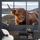 Cuddly Highland Cow Canvas Photo Wall Art Print Highlands