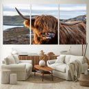 Cuddly Highland Cow Canvas Photo Wall Art Print Highlands