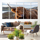 Cuddly Highland Cow Canvas Photo Wall Art Print Highlands