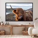 Cuddly Highland Cow Canvas Photo Wall Art Print Highlands