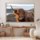 Cuddly Highland Cow Canvas Photo Wall Art Print Highlands