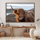 Cuddly Highland Cow Canvas Photo Wall Art Print Highlands