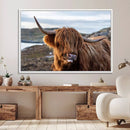 Cuddly Highland Cow Canvas Photo Wall Art Print Highlands
