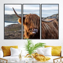 Cuddly Highland Cow Canvas Photo Wall Art Print Highlands