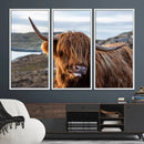 Cuddly Highland Cow Canvas Photo Wall Art Print Highlands