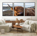 Cuddly Highland Cow Canvas Photo Wall Art Print Highlands