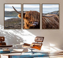 Cuddly Highland Cow Canvas Photo Wall Art Print Highlands