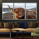 Cuddly Highland Cow Canvas Photo Wall Art Print Highlands