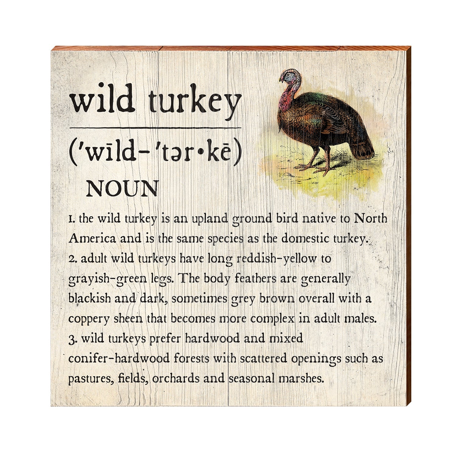 Wild Turkey Definition Wooden Sign | Wall Art Print on Real Wood