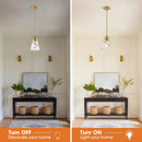7 Inch Ryan 1-Light Island Pendant Light